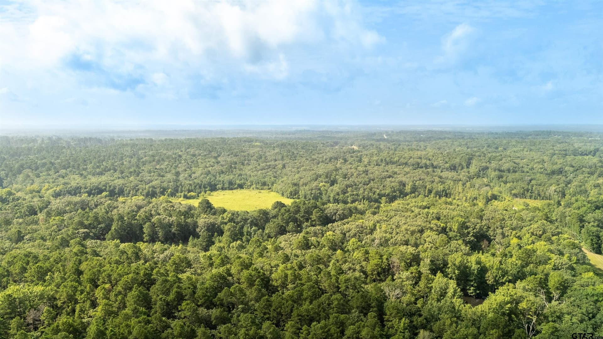 88 acres in Wood County - photo 16