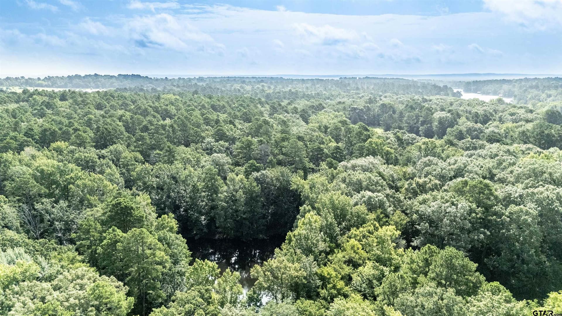 88 acres in Wood County - photo 10