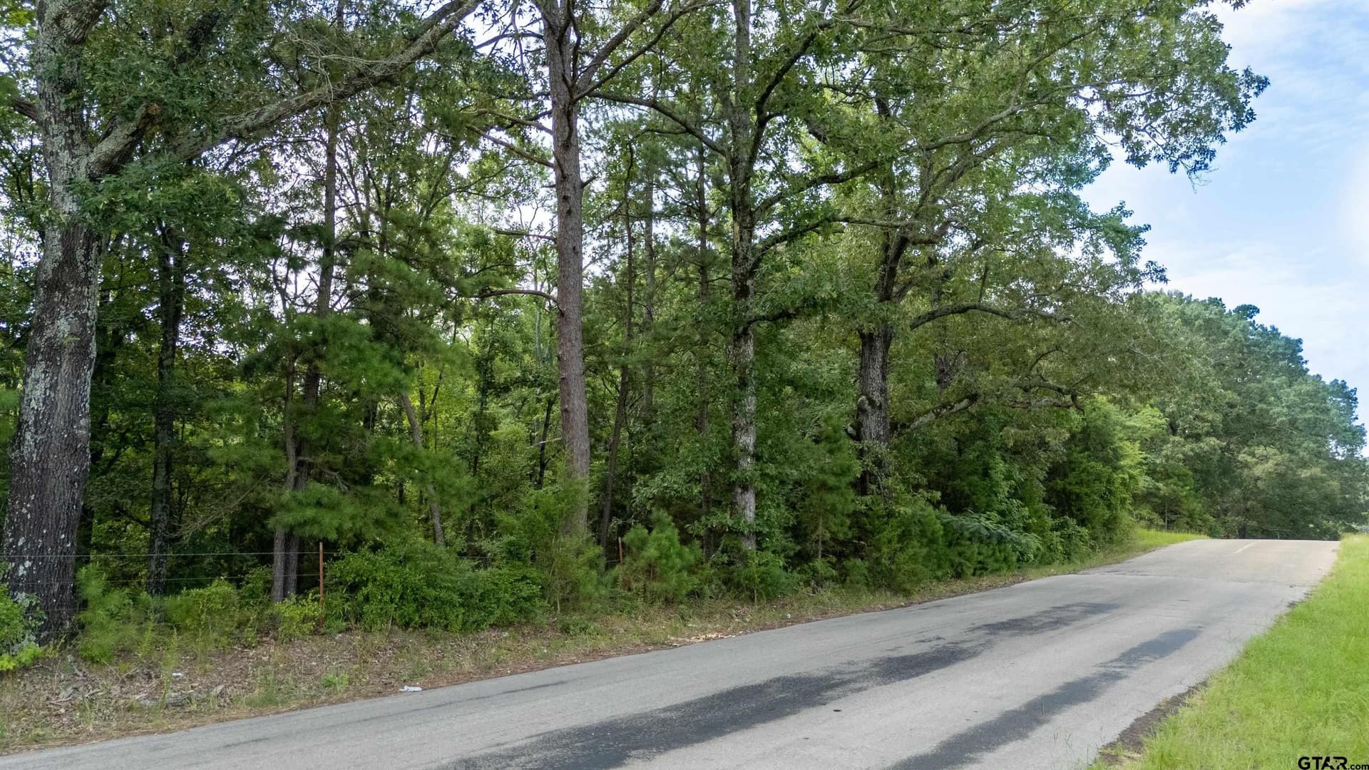 88 acres in Wood County - photo 23