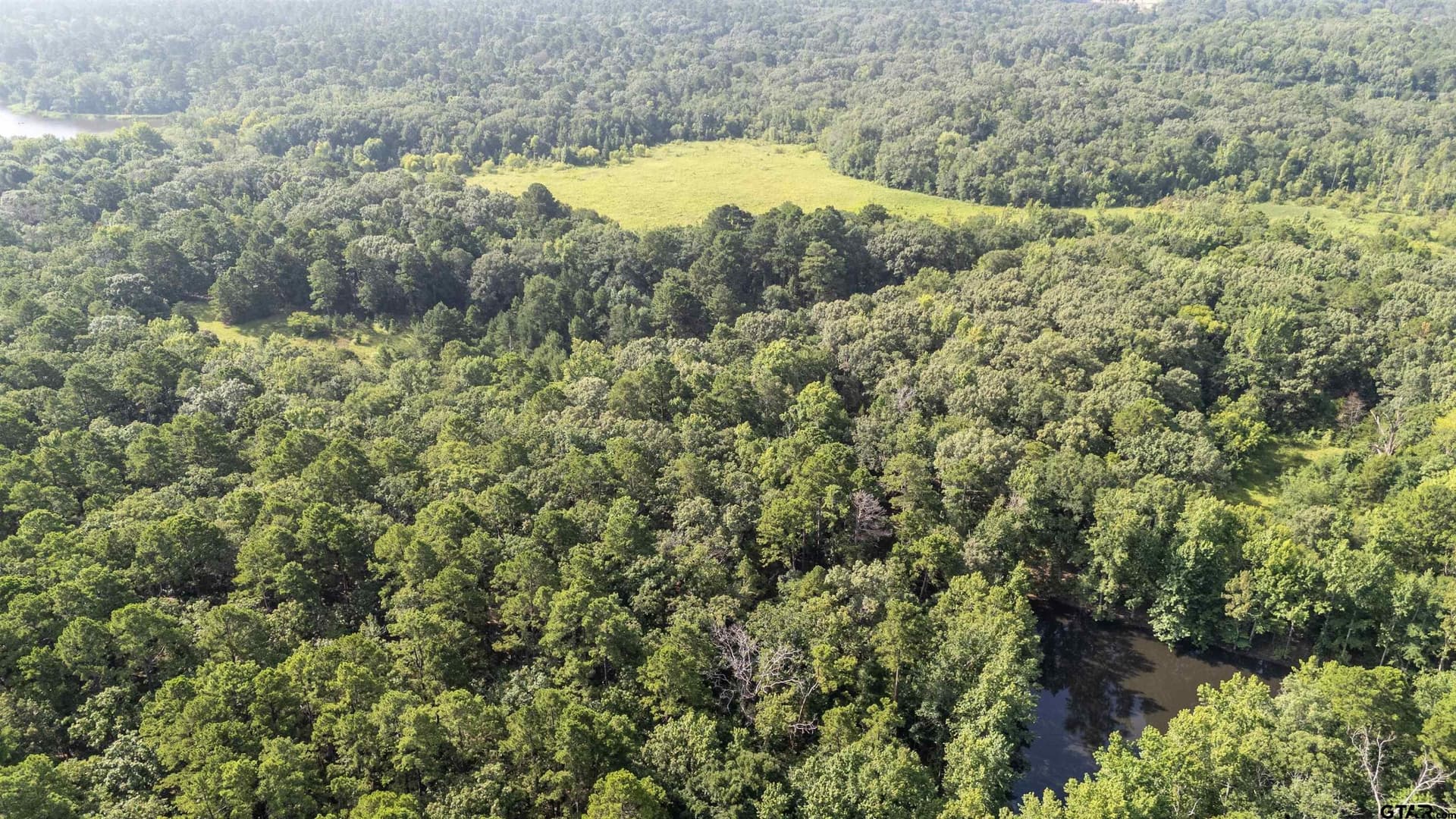 88 acres in Wood County - photo 8