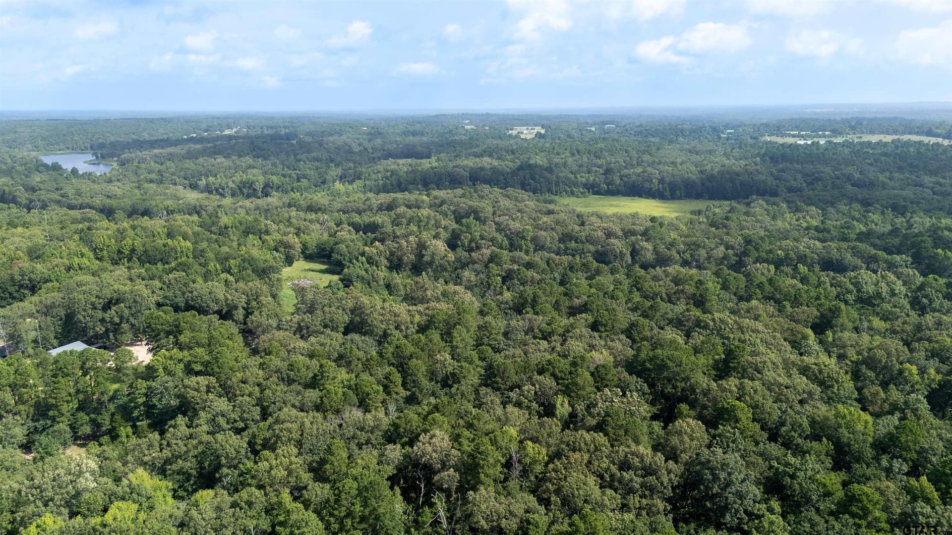 88 acres in Wood County - photo 19