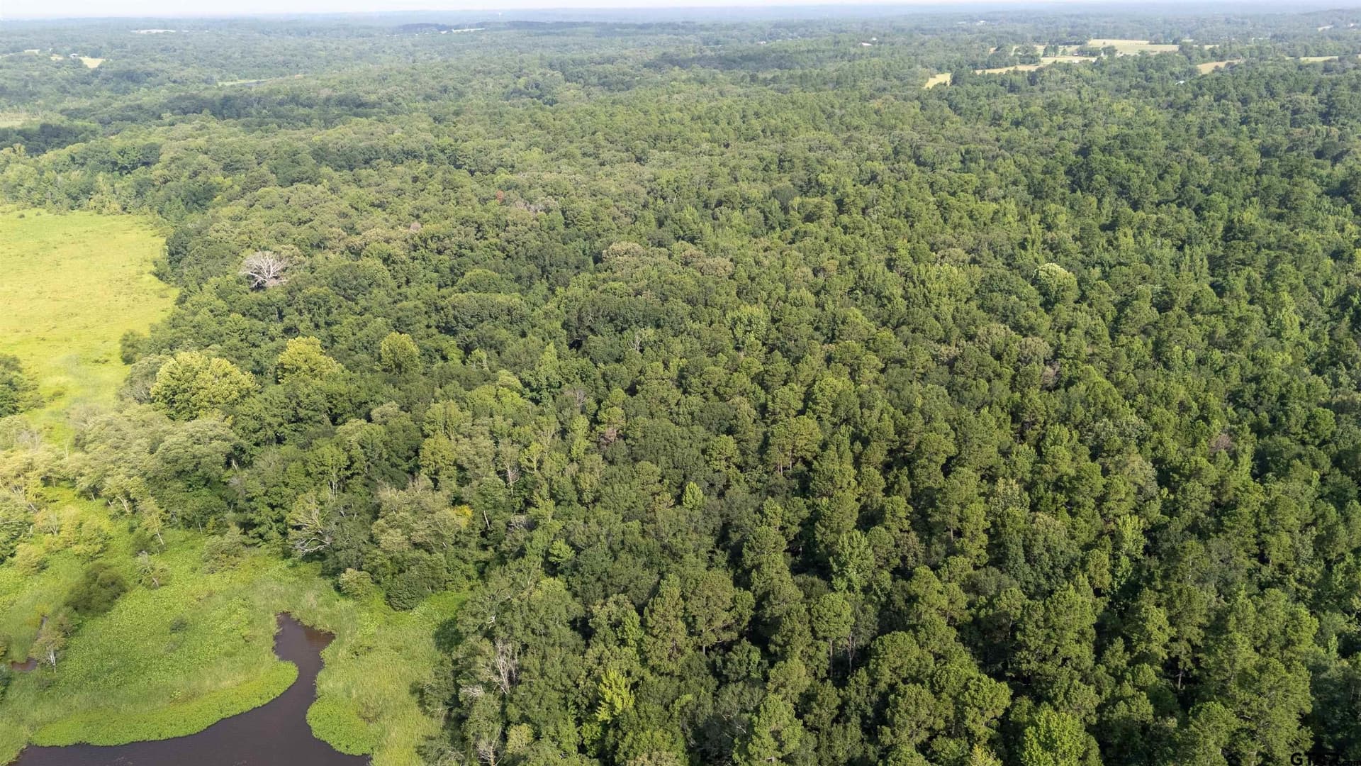 88 acres in Wood County - photo 6