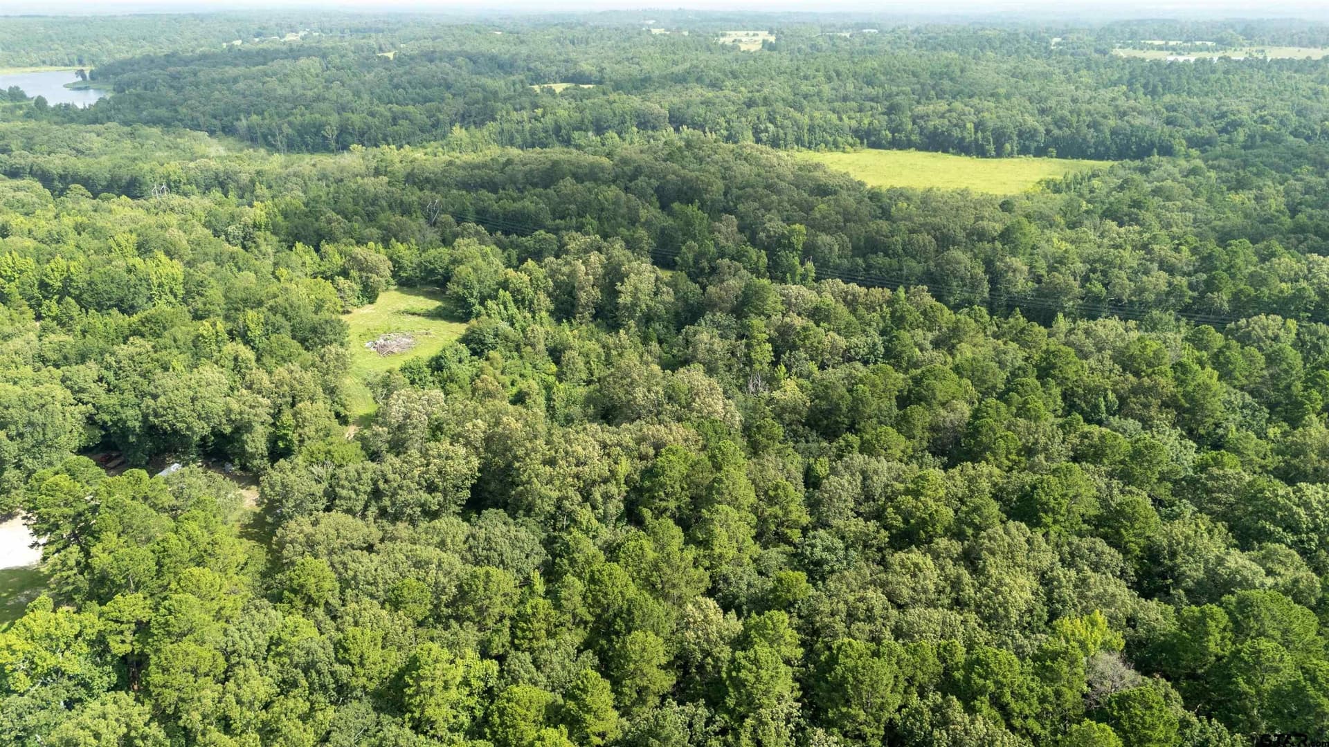 88 acres in Wood County - photo 18