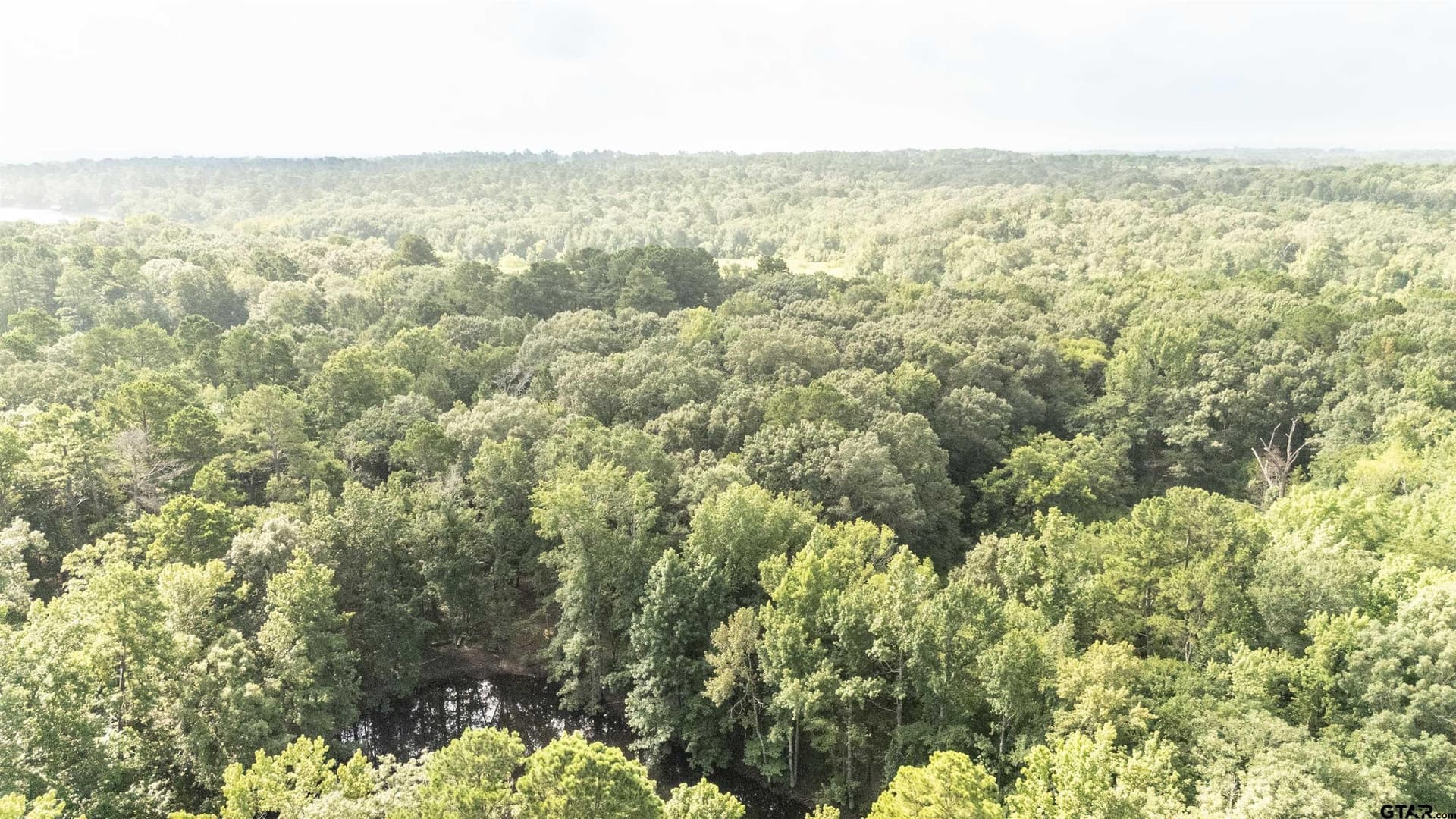 88 acres in Wood County - photo 11