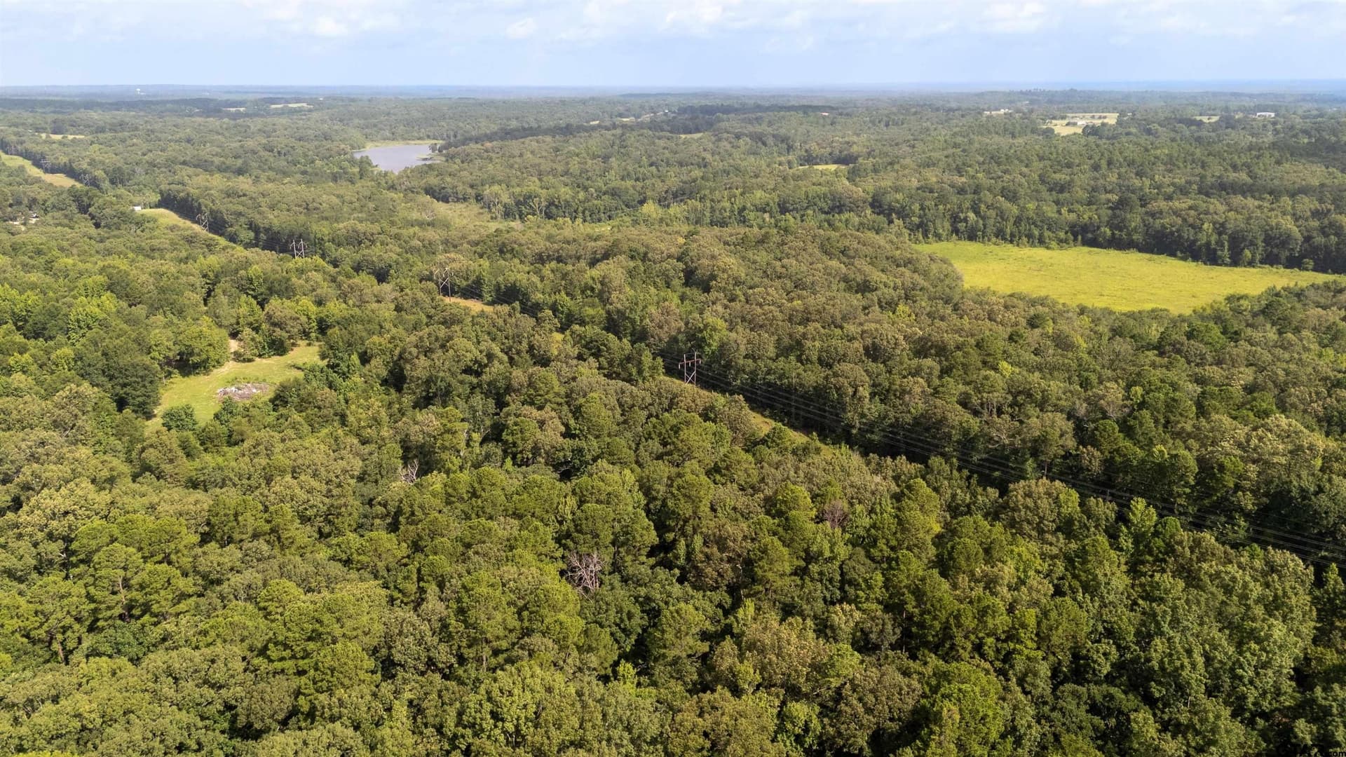 88 acres in Wood County - photo 22