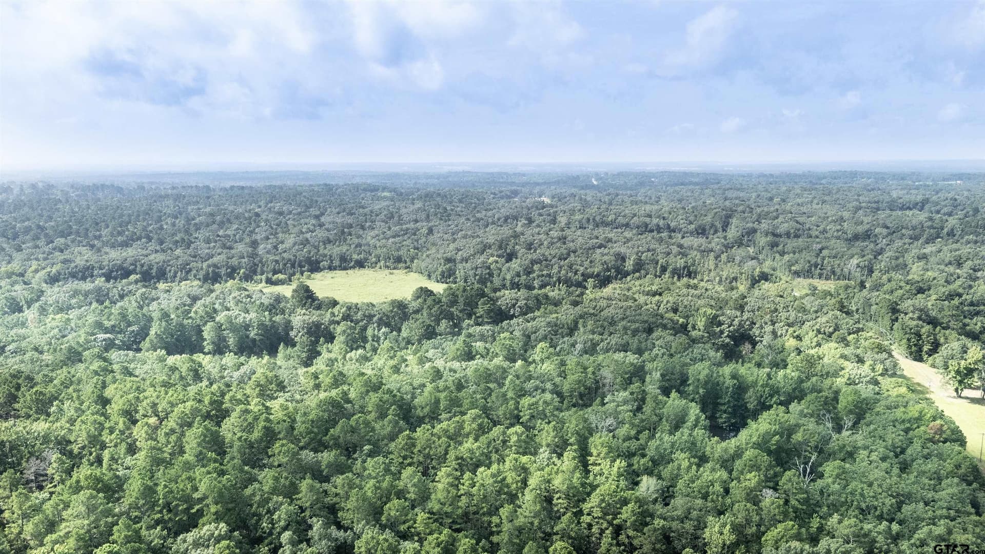 88 acres in Wood County - photo 15