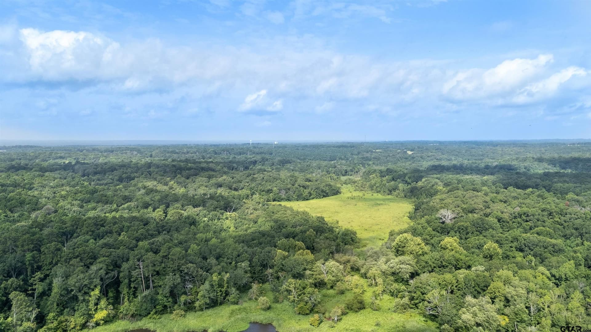 88 acres in Wood County - photo 14