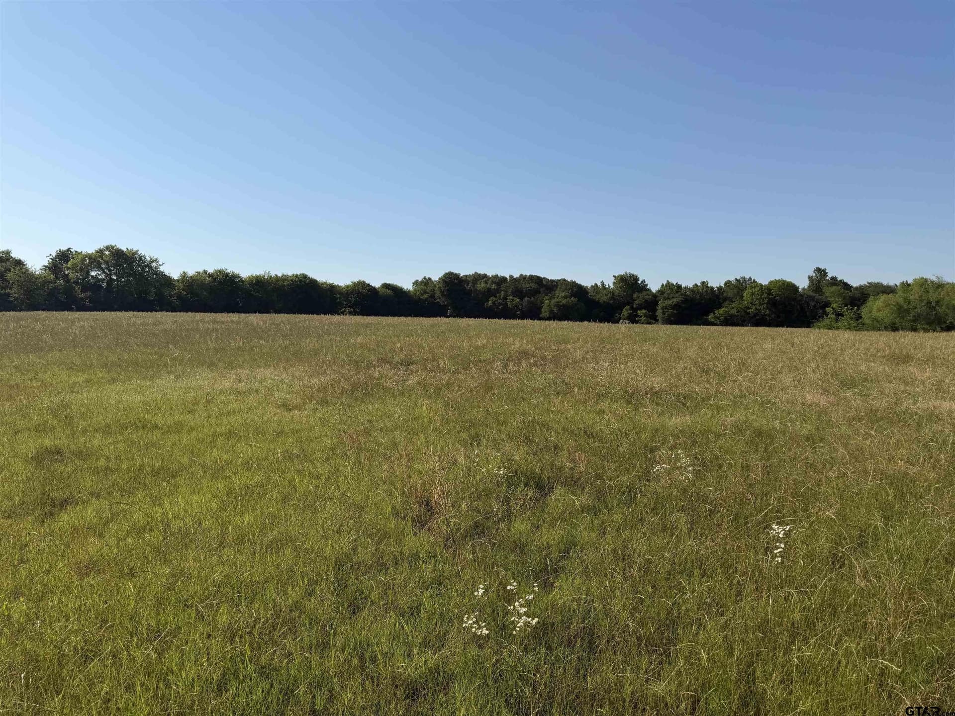 22 acres in Titus County - photo 6