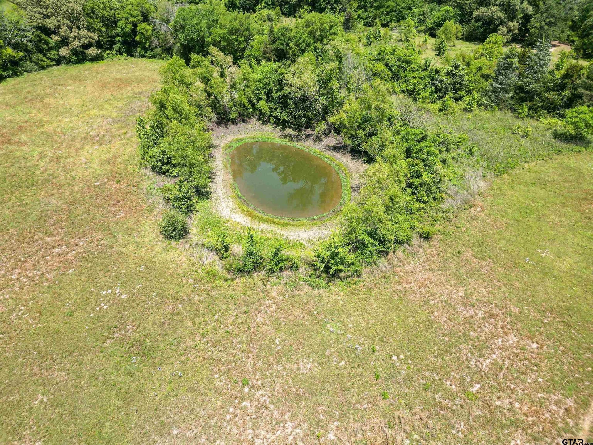 22 acres in Titus County - photo 11