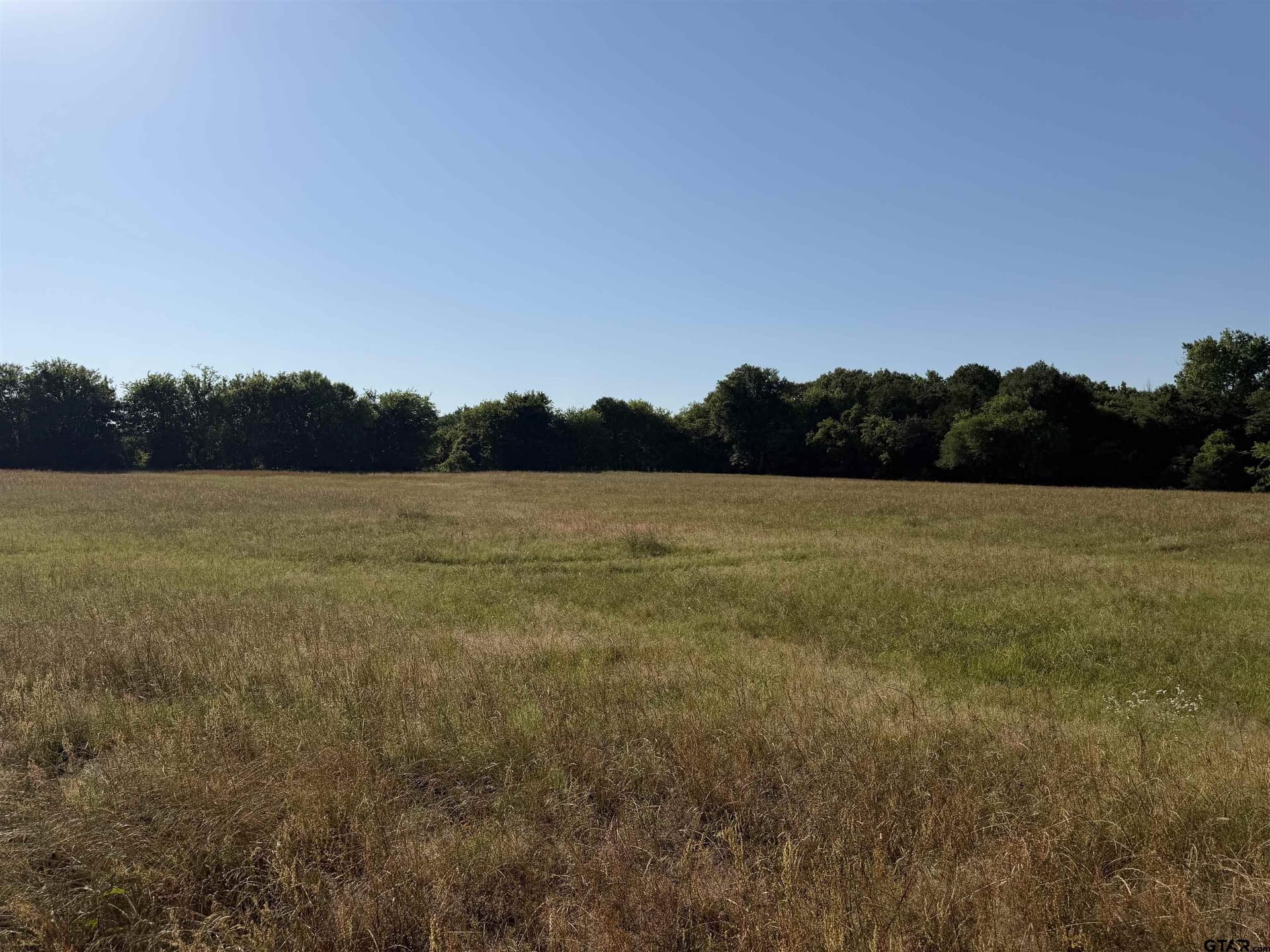 22 acres in Titus County - photo 7