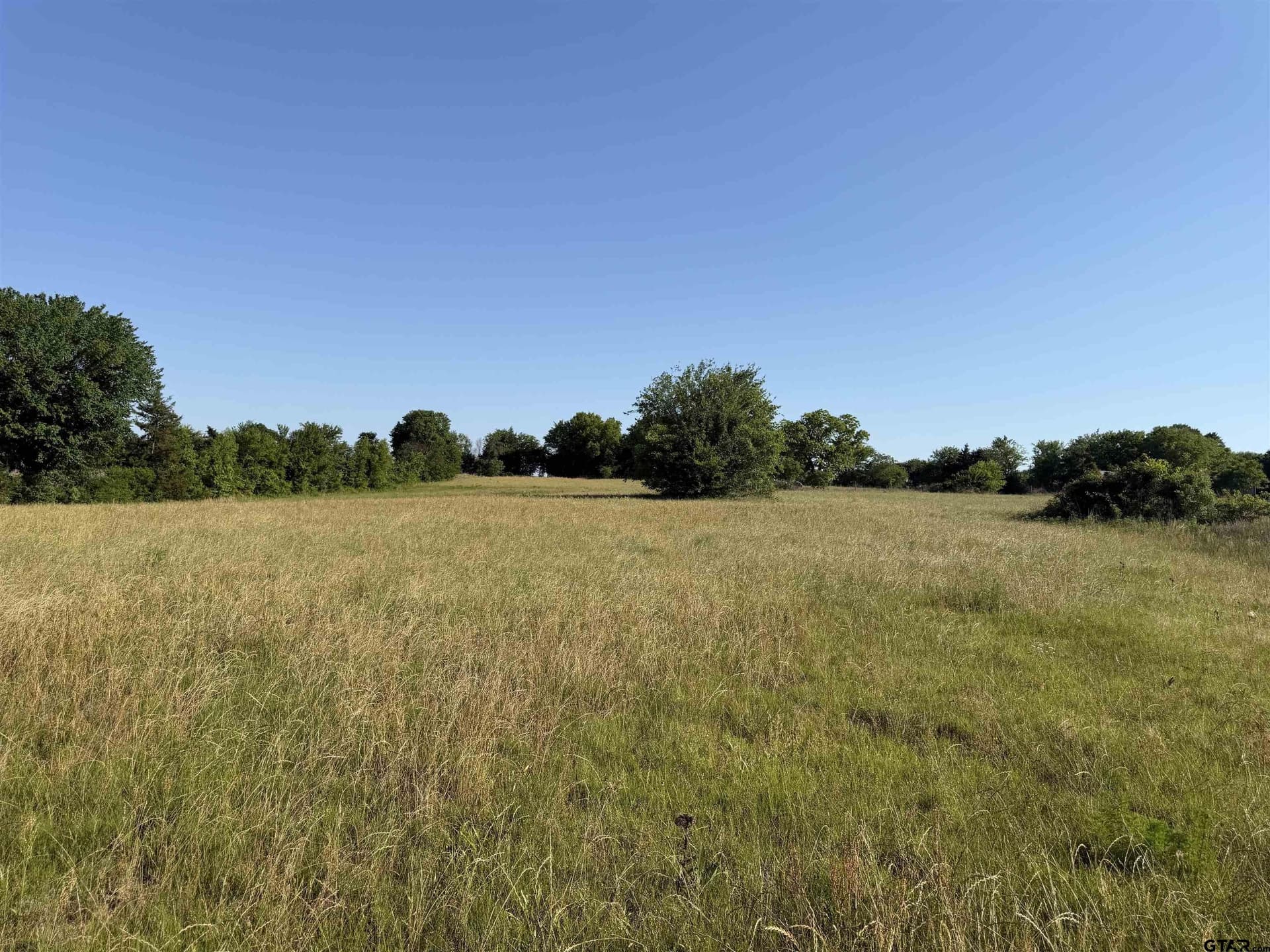 22 acres in Titus County - photo 10