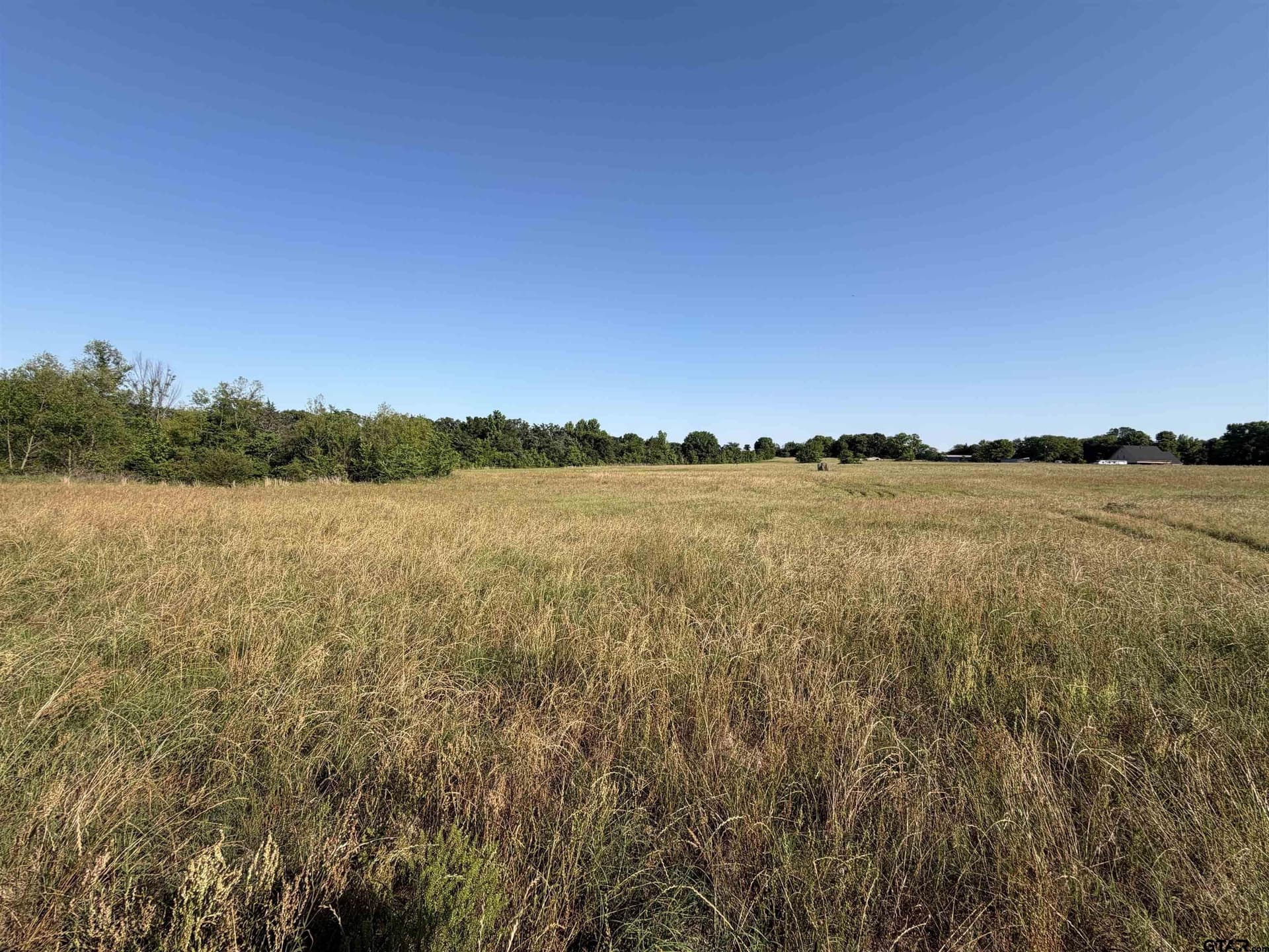 22 acres in Titus County - photo 9