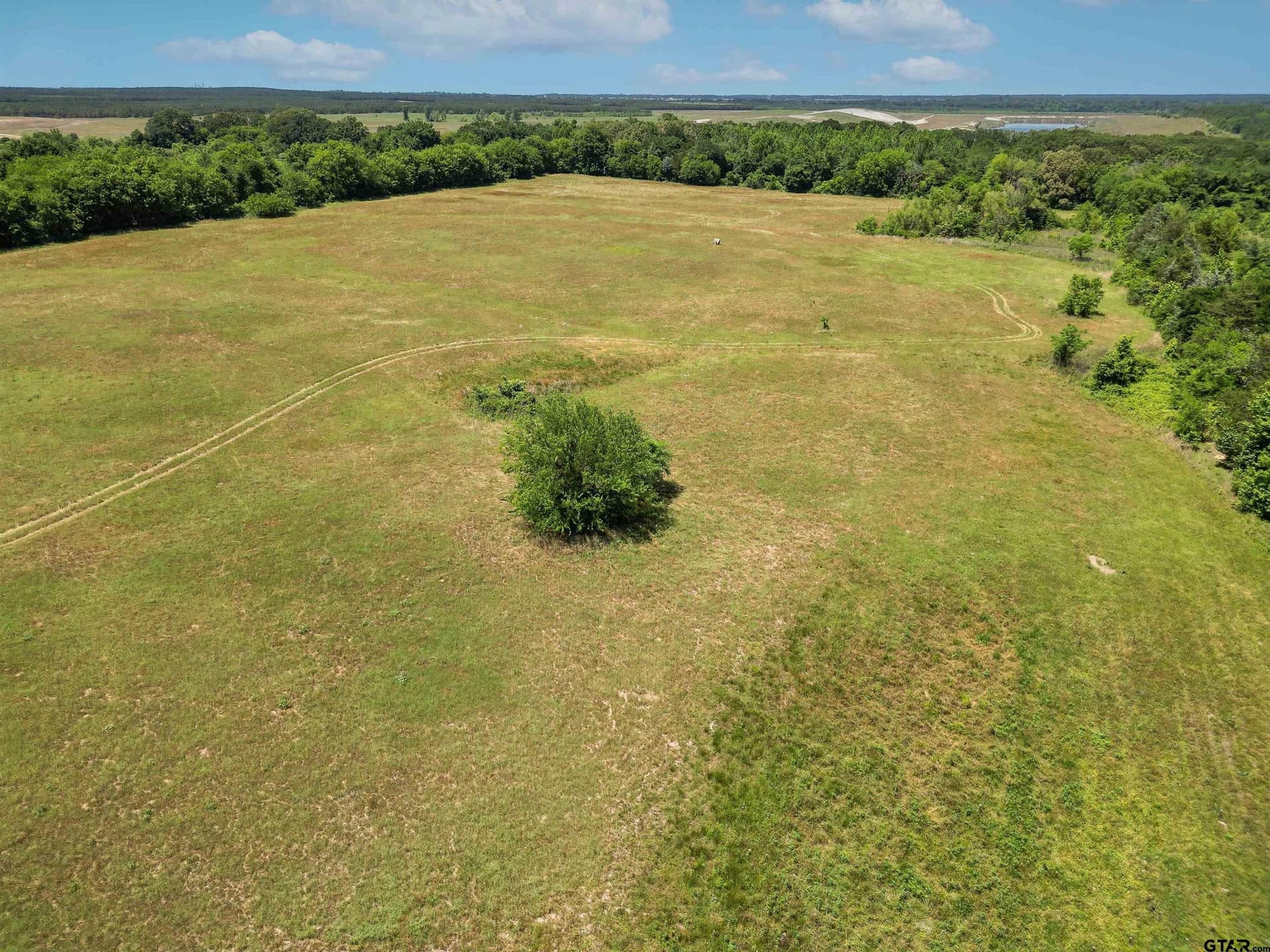 22 acres in Titus County - photo 13