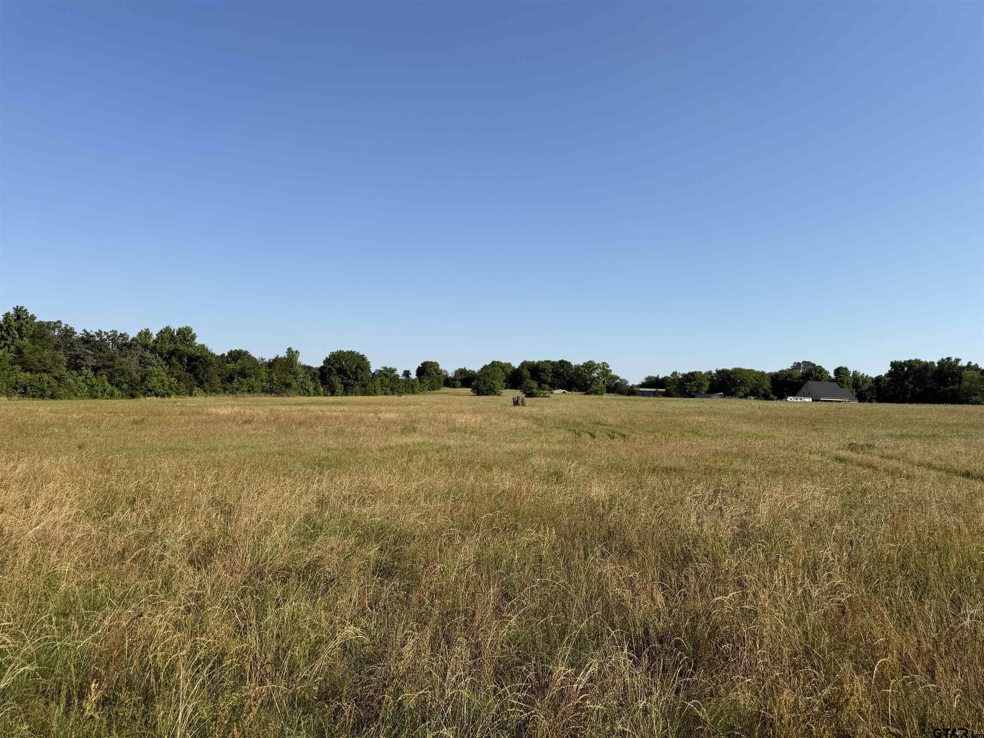 22 acres in Titus County - photo 8