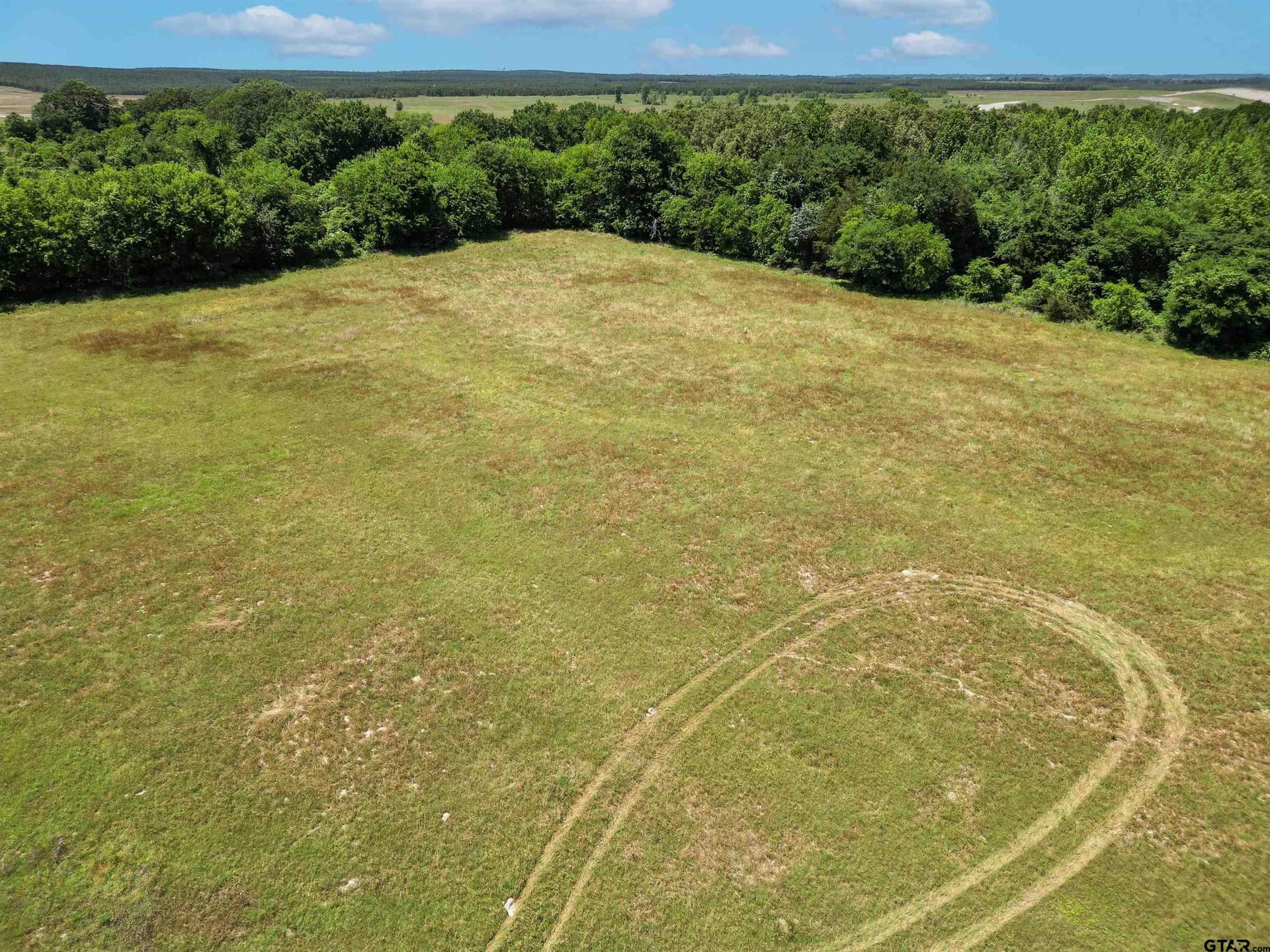 22 acres in Titus County - photo 12