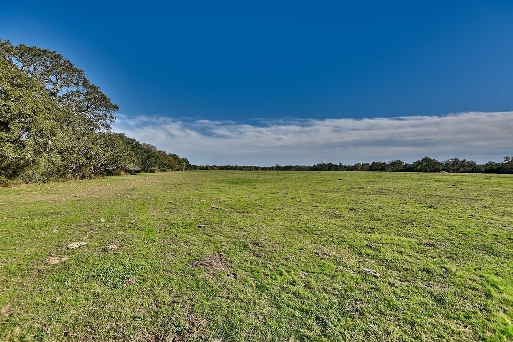 276.92 acres in Lee County gallery image 2