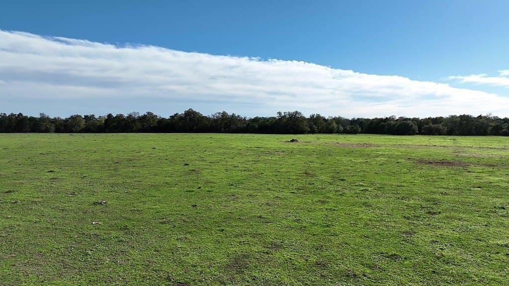 276.92 acres in Lee County gallery image 4