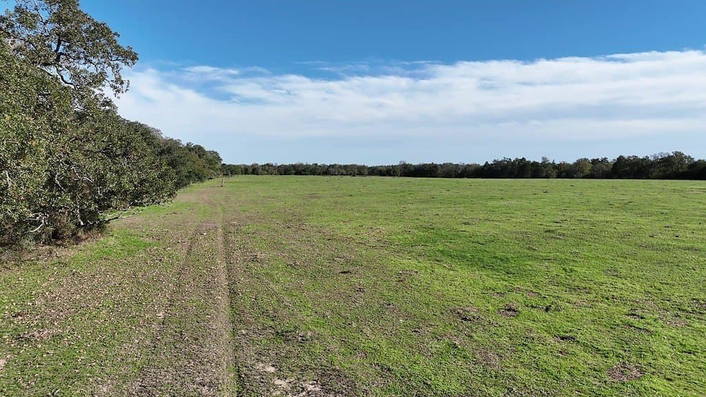 276.92 acres in Lee County gallery image 3