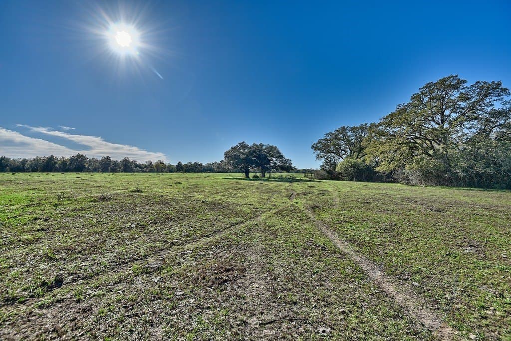276.92 acres in Lee County
