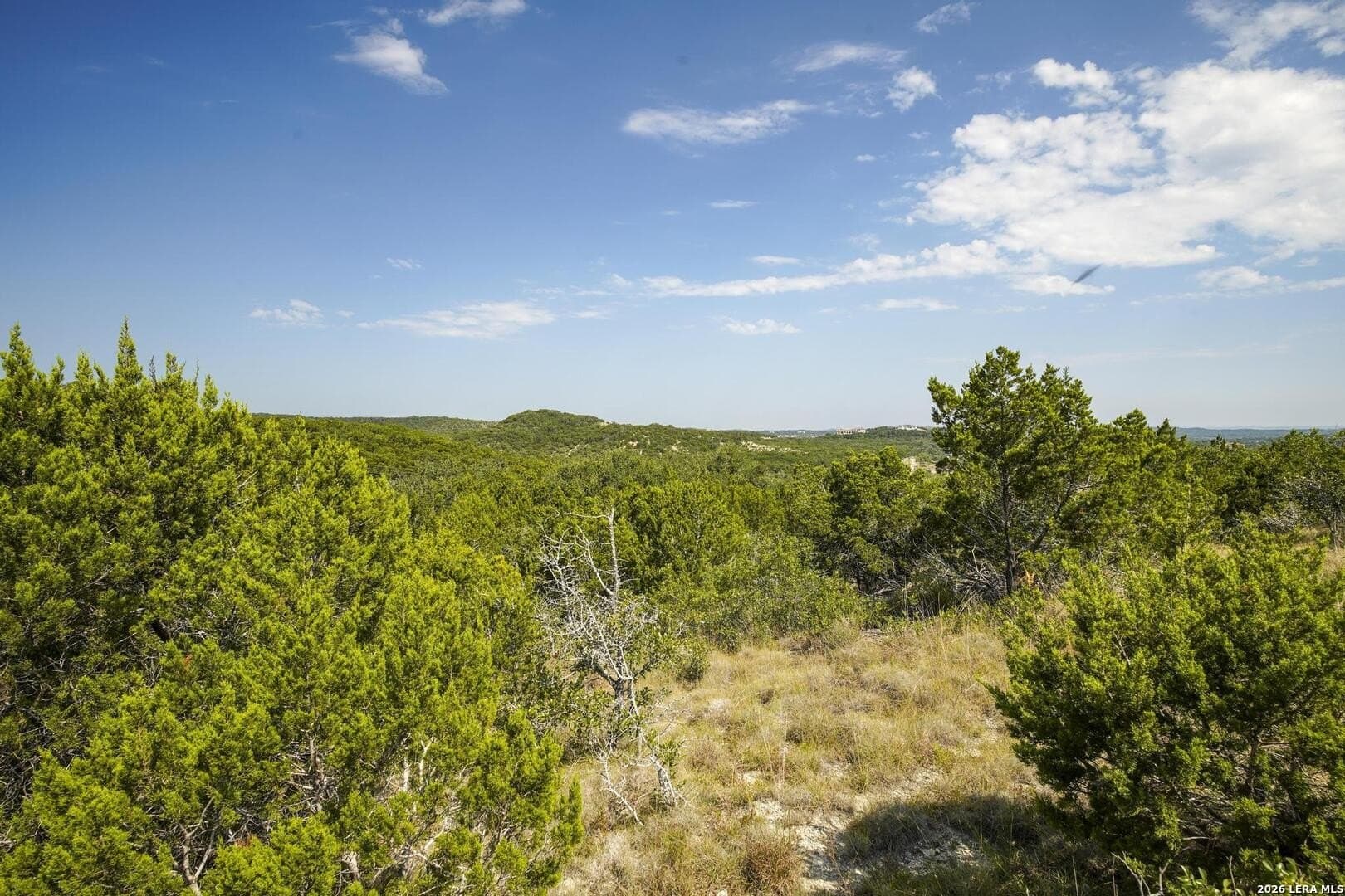 1.23 acres in Bexar County - photo 8