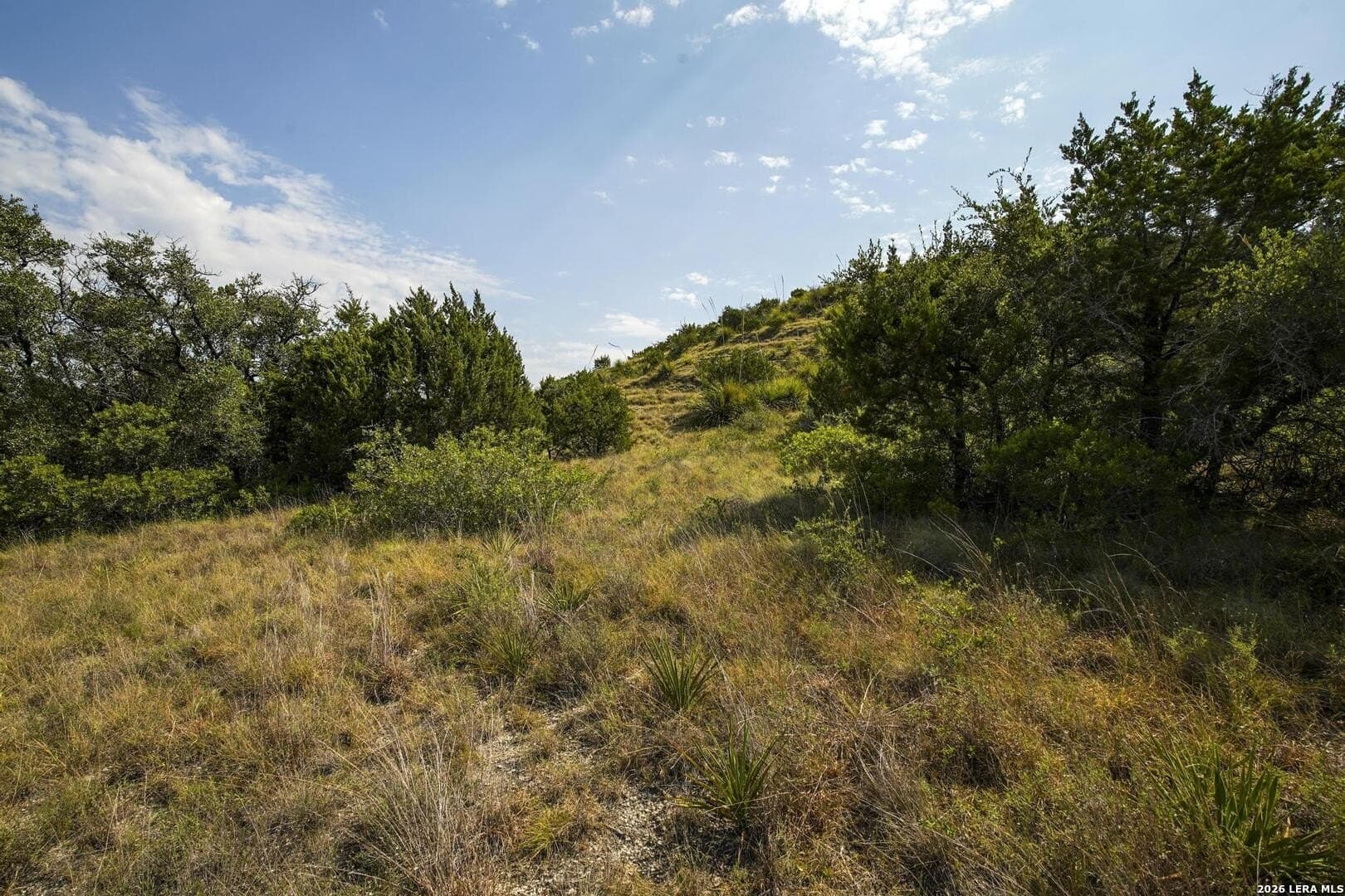 1.23 acres in Bexar County - photo 4