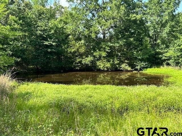 24.09 acres in Van Zandt County gallery image 2