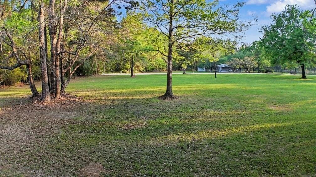 14.94 acres in Texas County gallery image 2