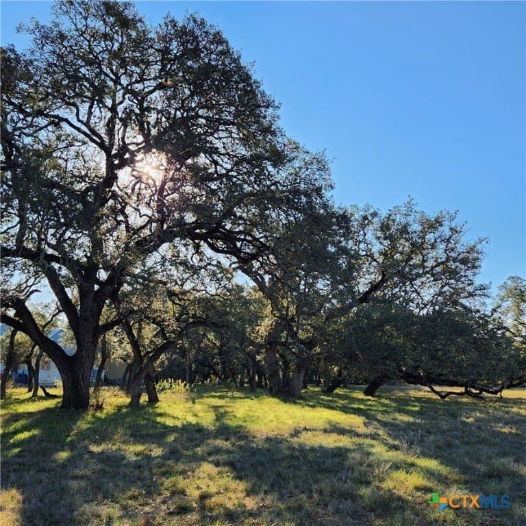 1.53 acres in Comal County featured view