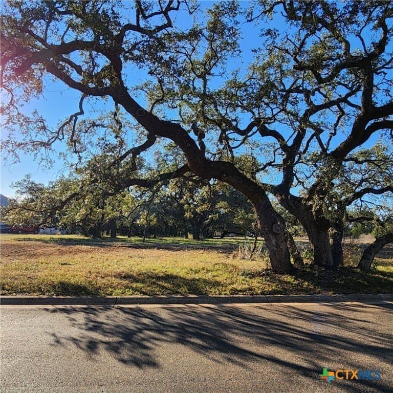 1.53 acres in Comal County gallery image 4