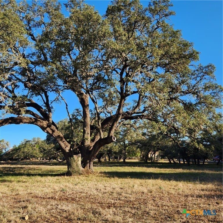 1.53 acres in Comal County