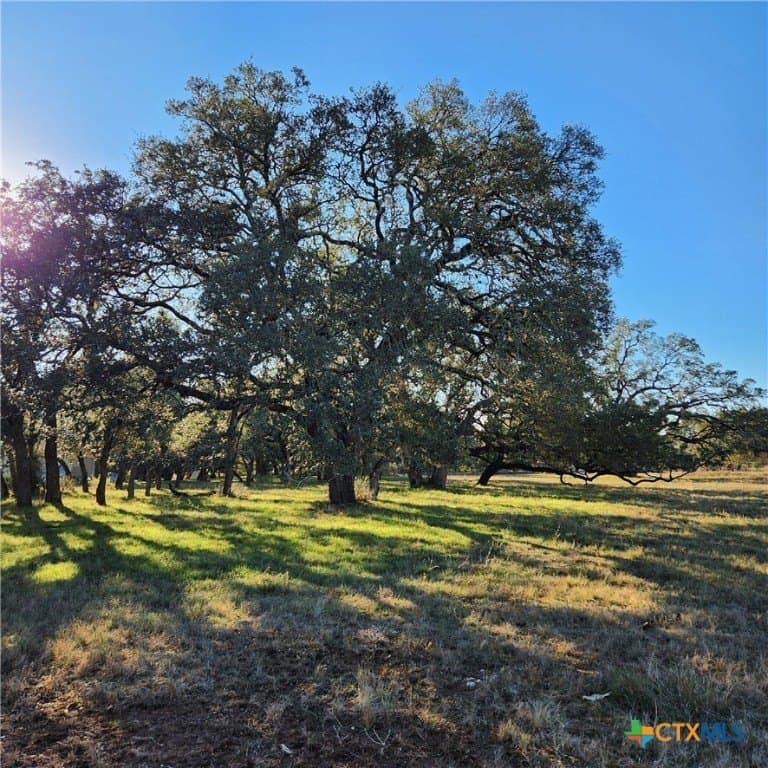 1.53 acres in Comal County gallery image 3