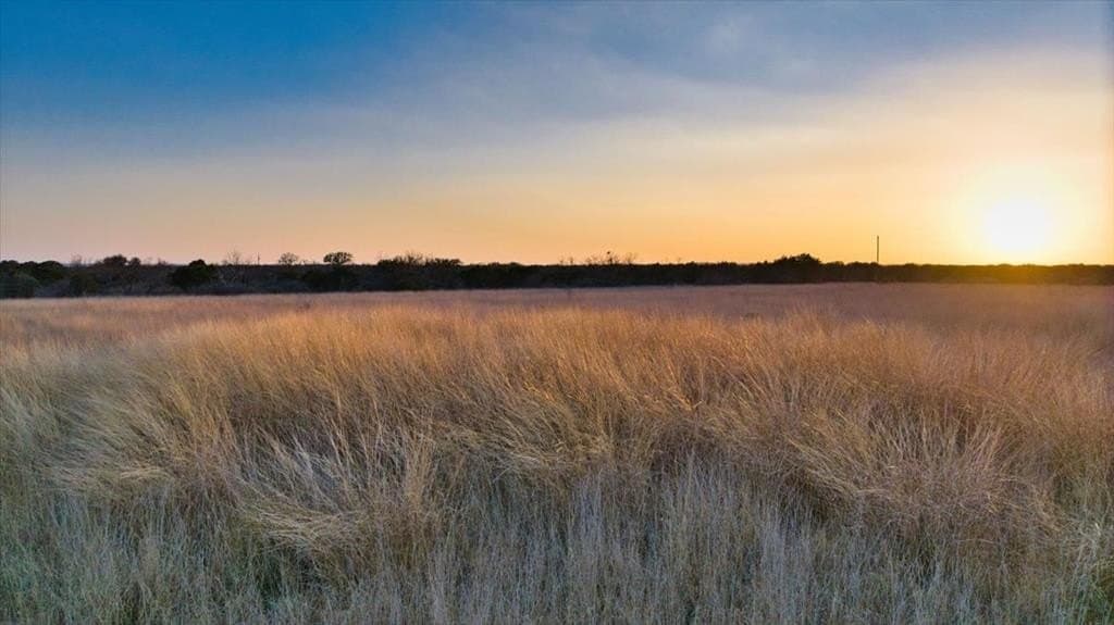 84.33 acres in Mason County - photo 19