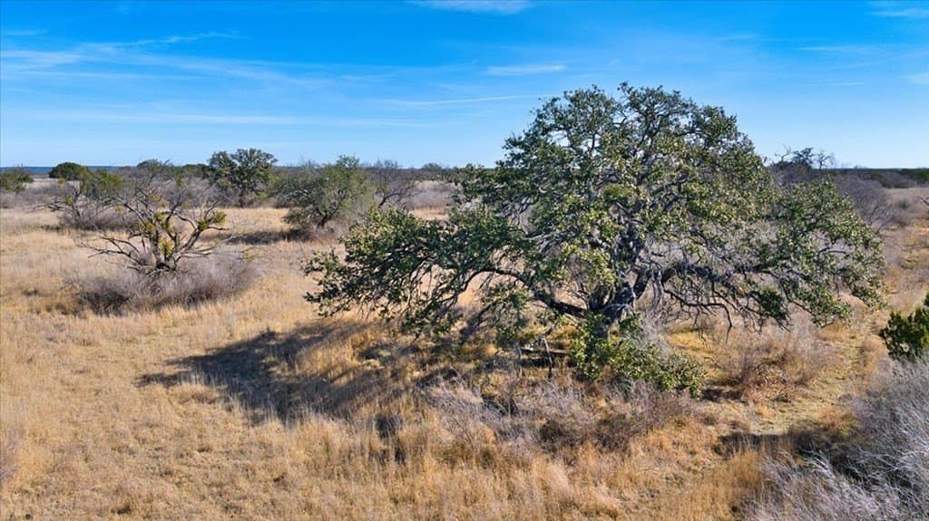 84.33 acres in Mason County - photo 10