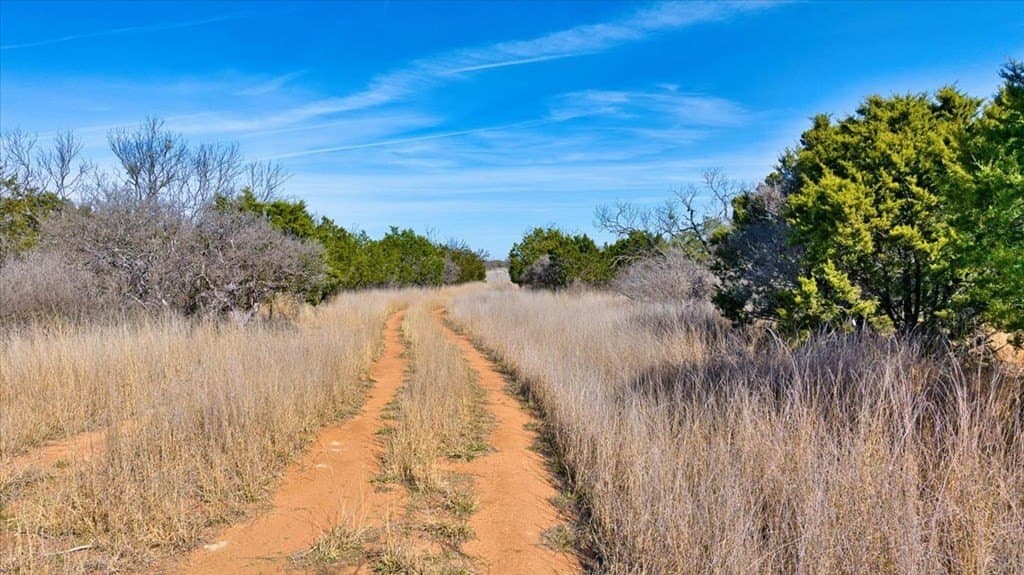 84.33 acres in Mason County - photo 14