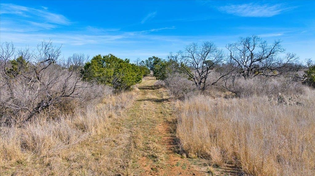 84.33 acres in Mason County - photo 16