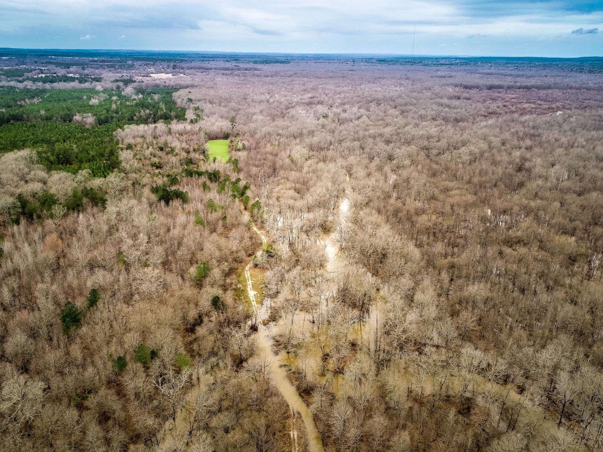 350 acres in Cherokee County - photo 17