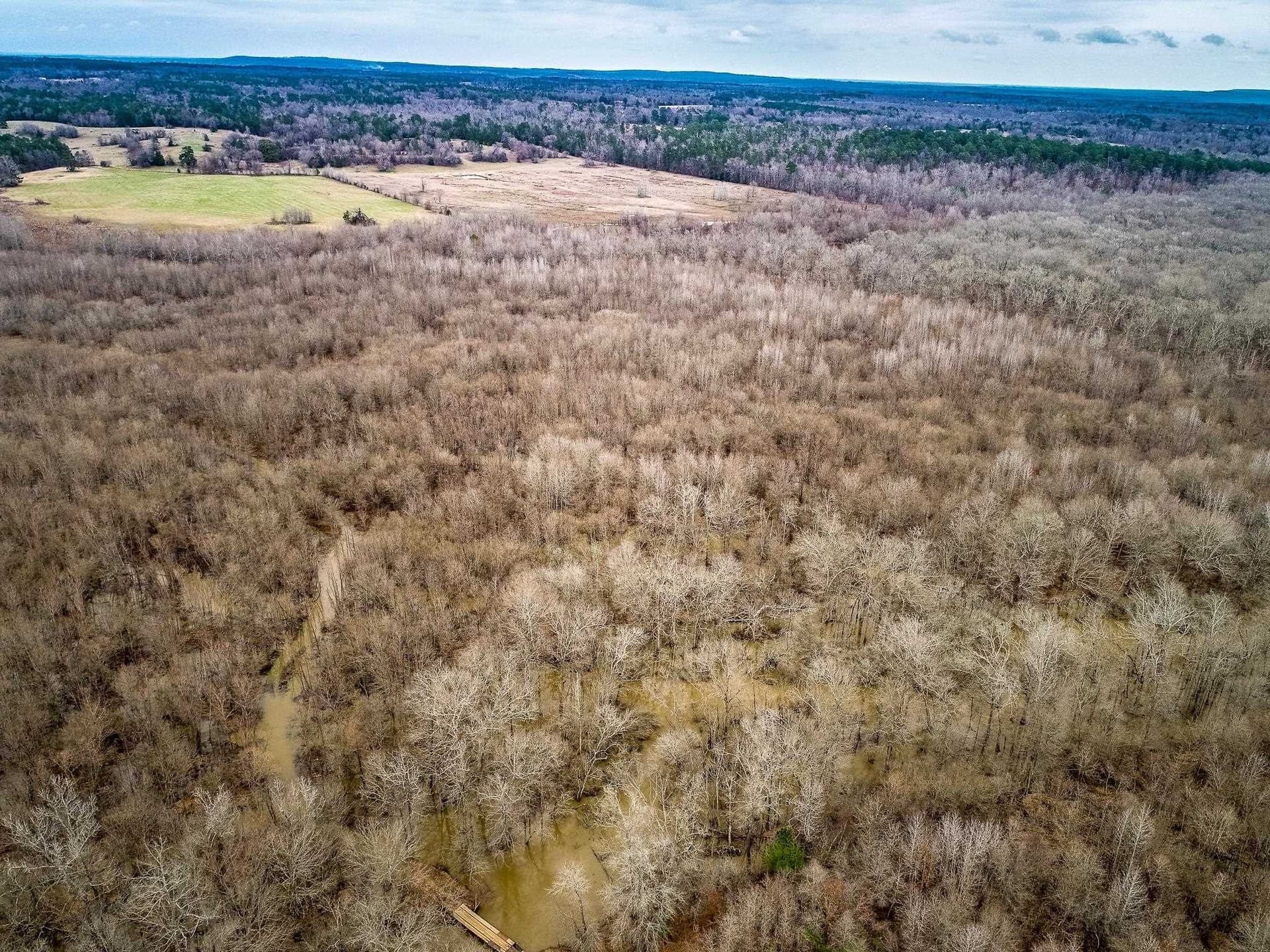 350 acres in Cherokee County - photo 12
