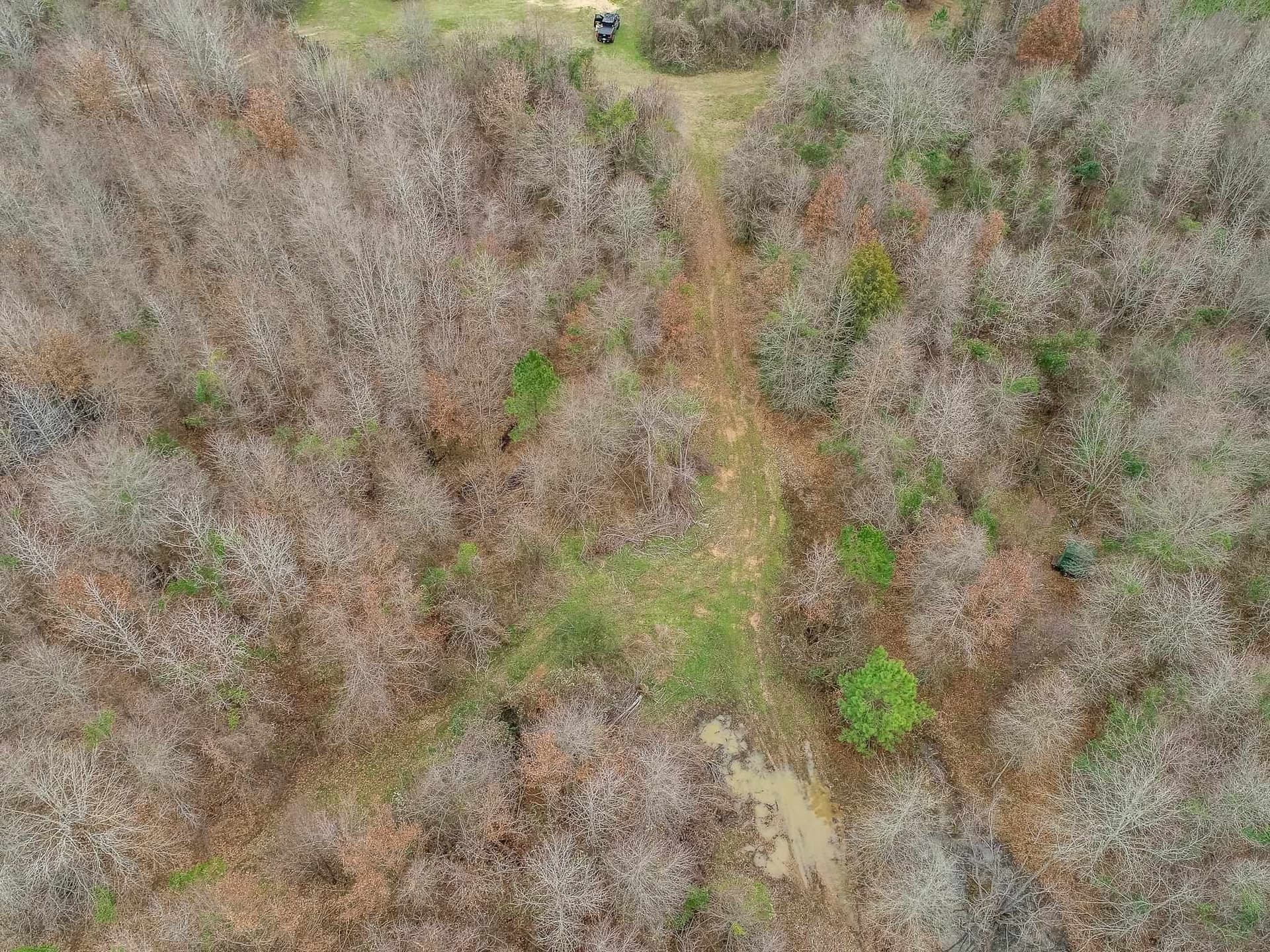 350 acres in Cherokee County - photo 20