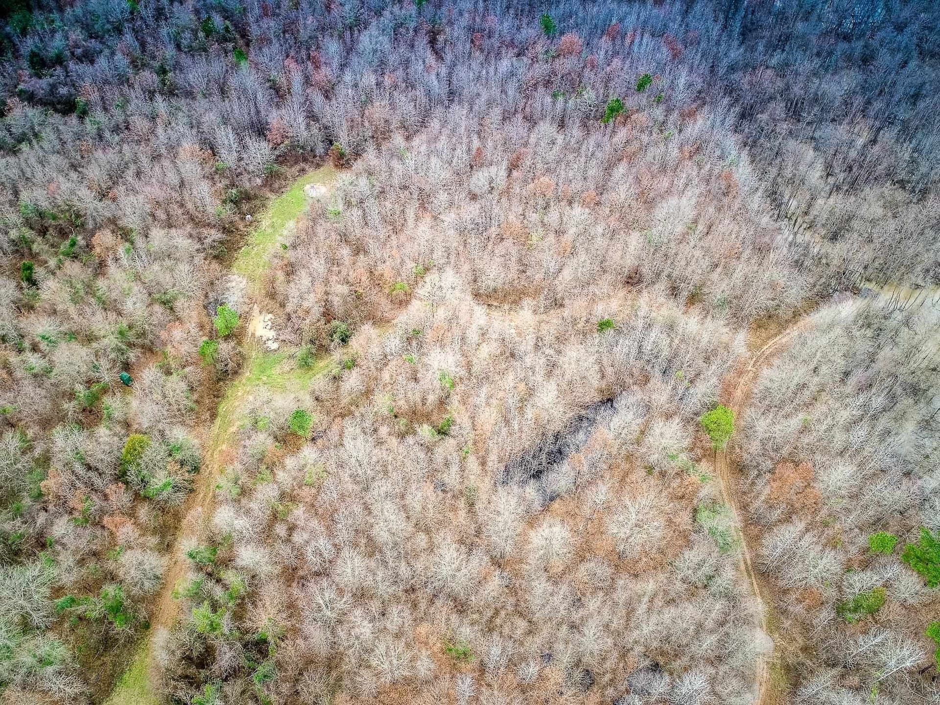 350 acres in Cherokee County - photo 13