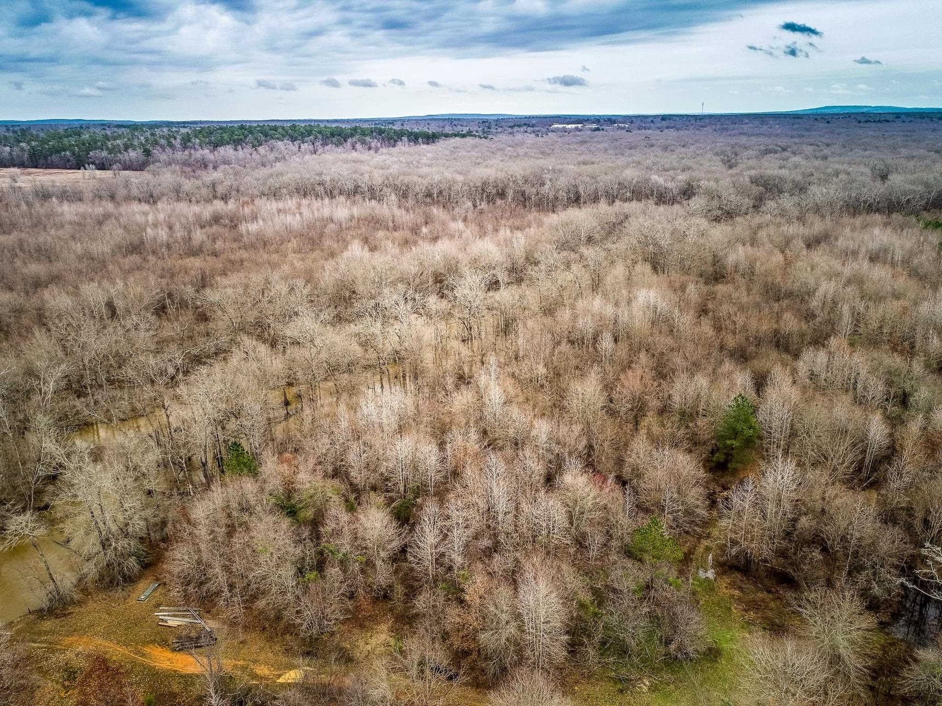 350 acres in Cherokee County - photo 11
