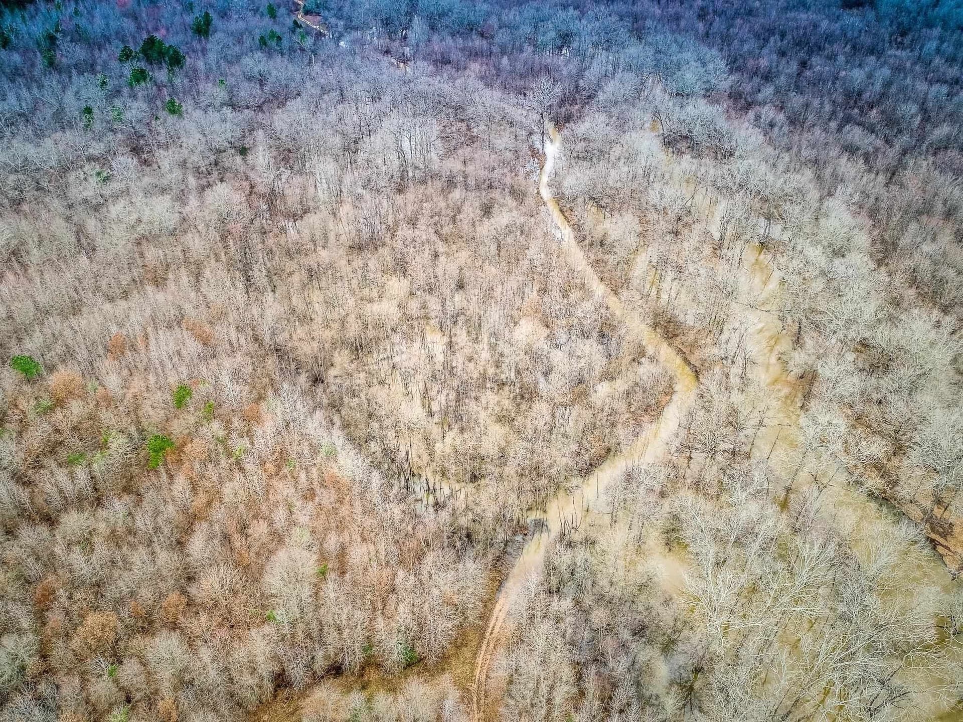 350 acres in Cherokee County - photo 15