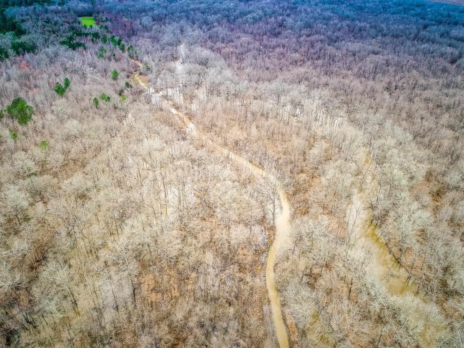 350 acres in Cherokee County - photo 16