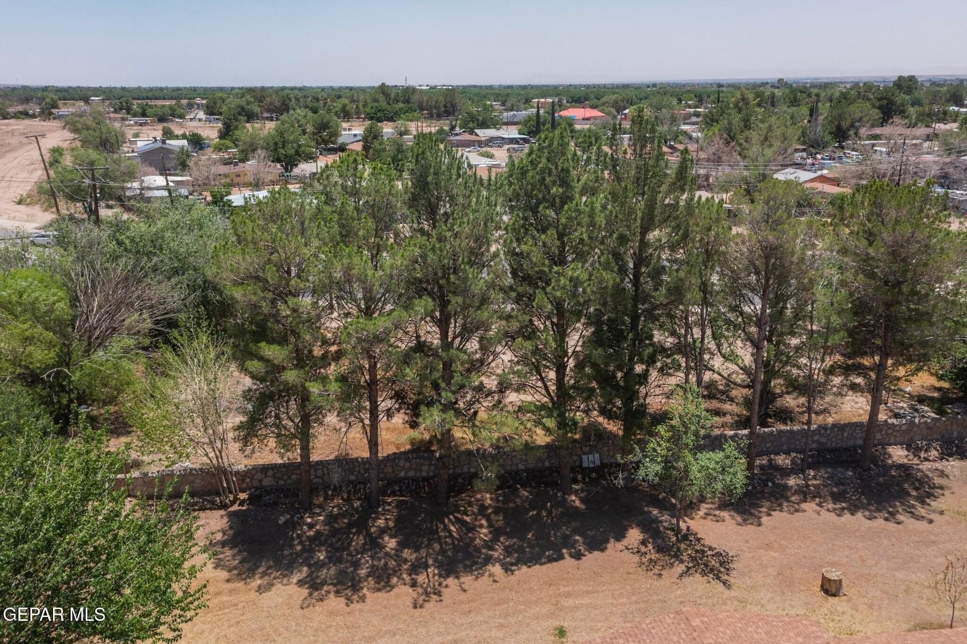 0.3 acres in El Paso County - photo 18