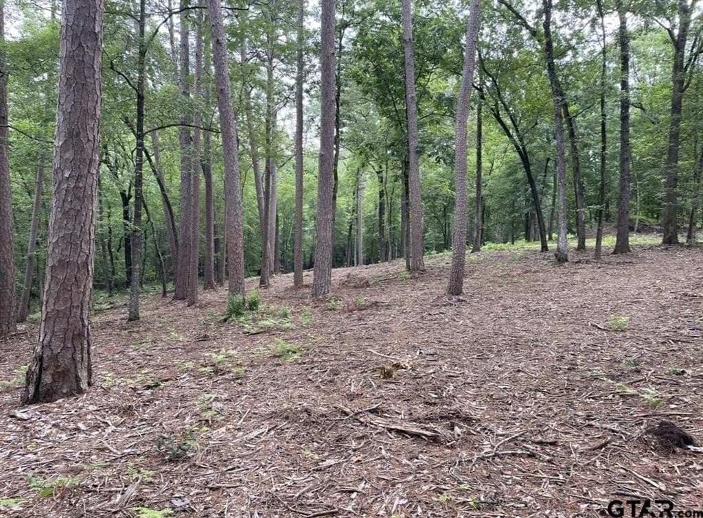 9.94 acres in Cass County - photo 13