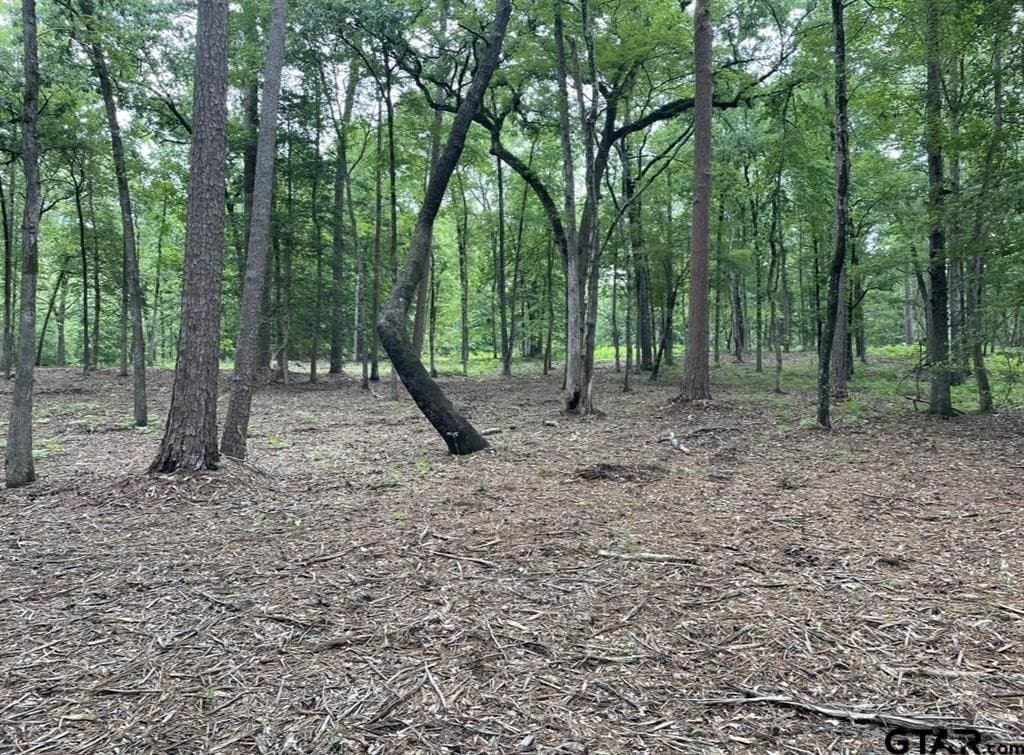 9.94 acres in Cass County - photo 12