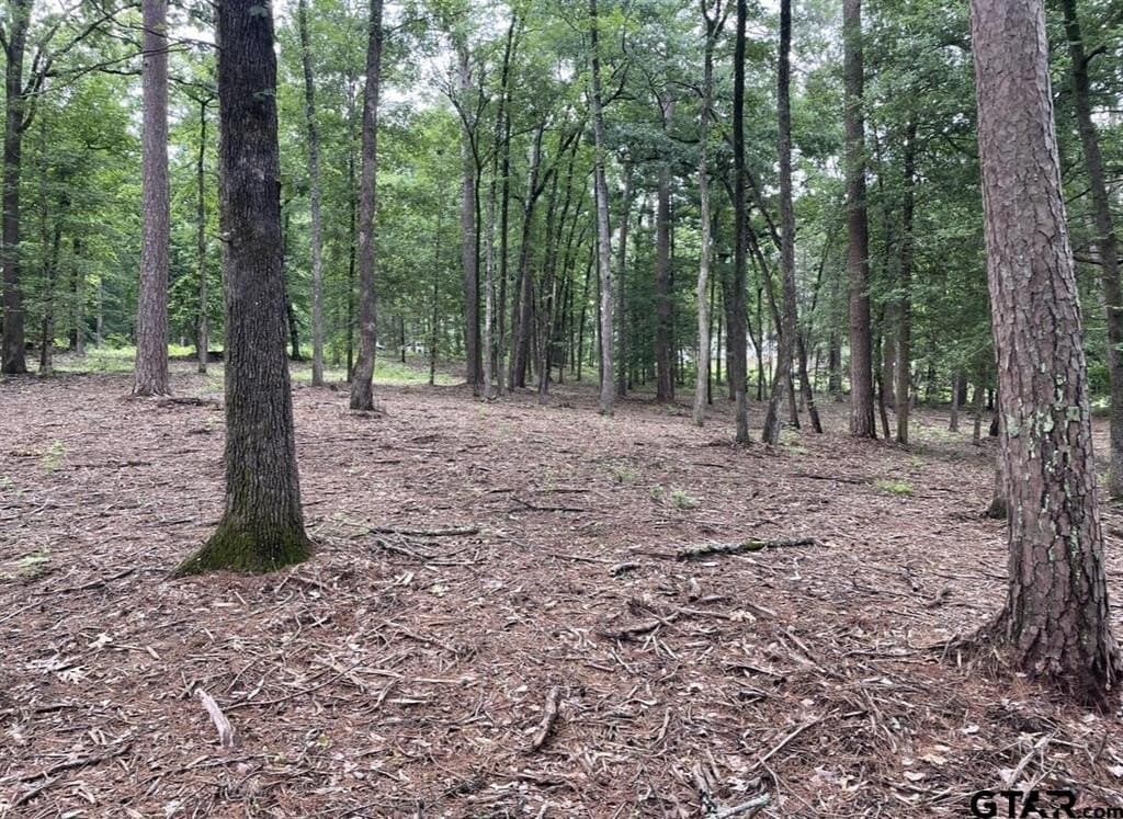 9.94 acres in Cass County - photo 8