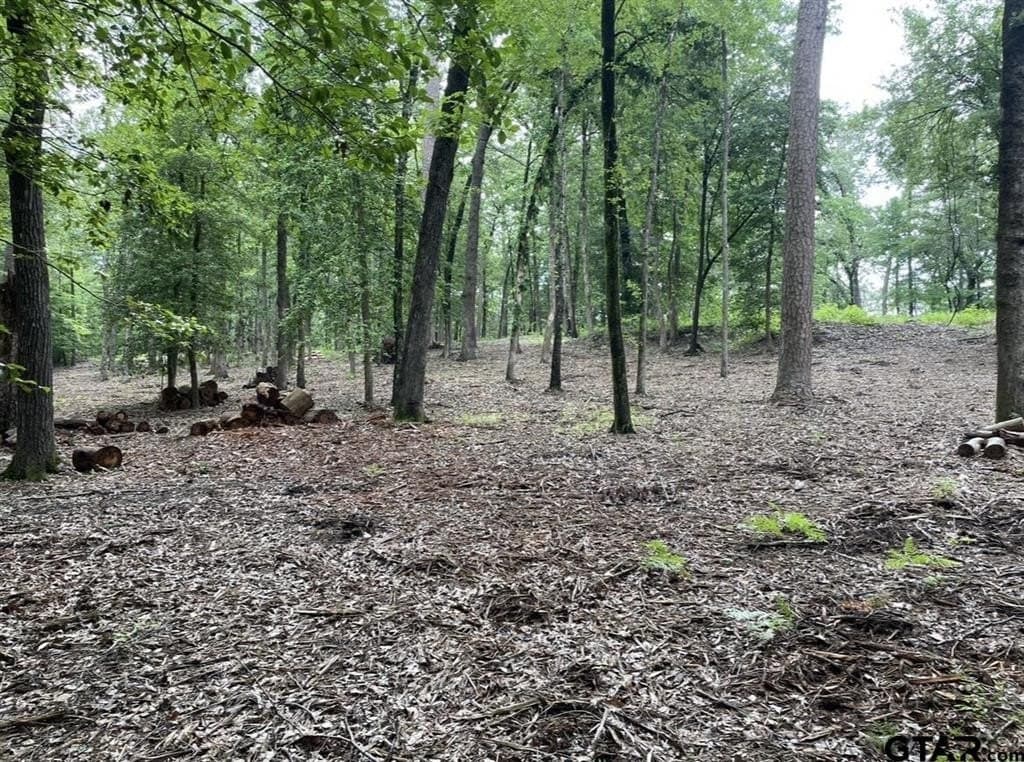 9.94 acres in Cass County - photo 9