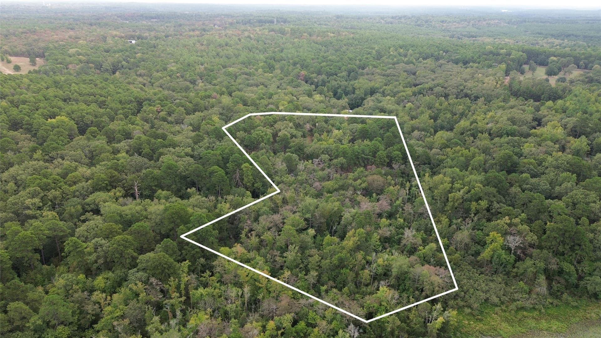 9.94 acres in Cass County - photo 23