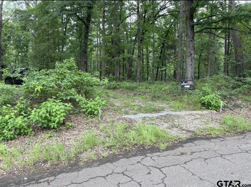 9.94 acres in Cass County - photo 18
