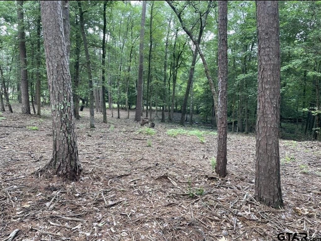 9.94 acres in Cass County - photo 11